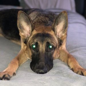 Meet your Posher, Kim